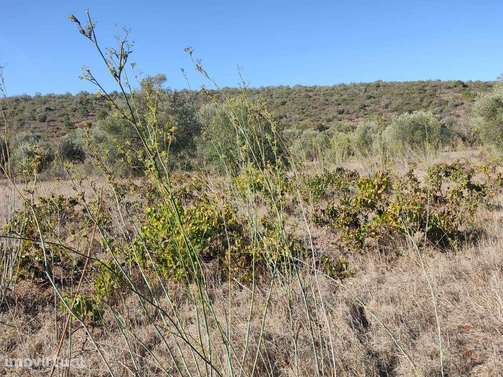 Terreno Rustico com 12 390 m2, Loulé, Algarve - Grande imagem: 3/10