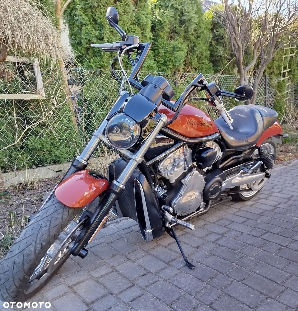 Harley-Davidson Softail V-Rod - 4
