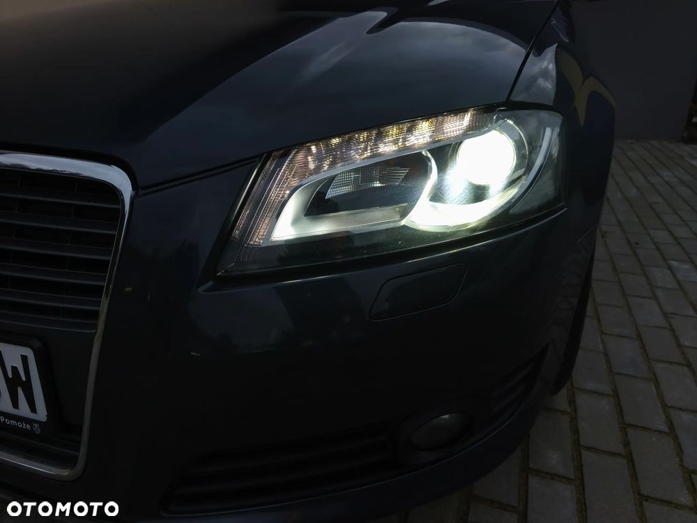 Audi A3 2.0 TDI Attraction - 13