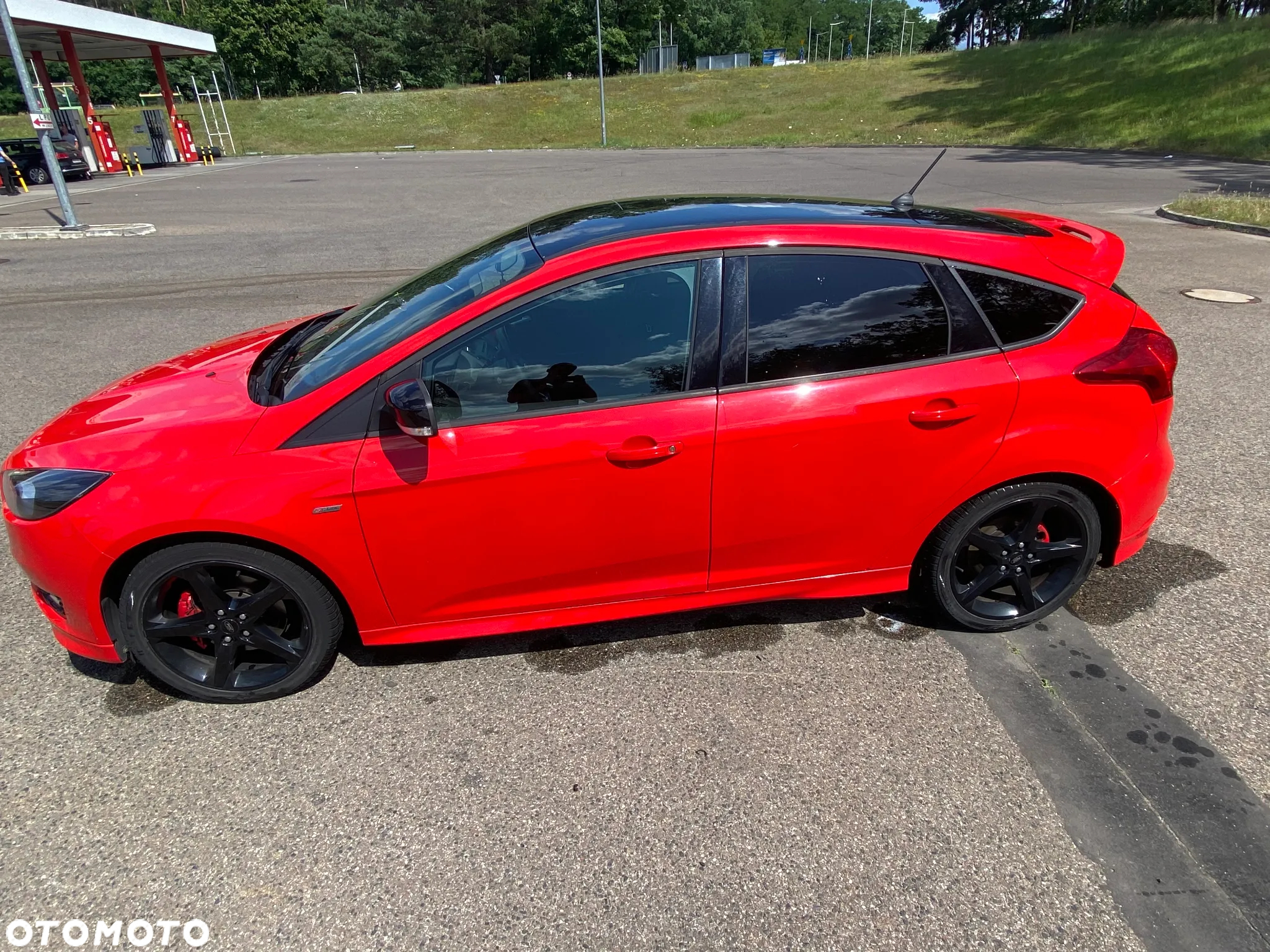 Ford Focus 1.5 EcoBoost ST-Line Red ASS - 2