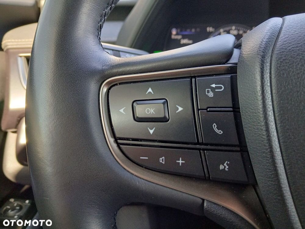 Lexus UX 250h GPF F Sport Design 2WD - 31