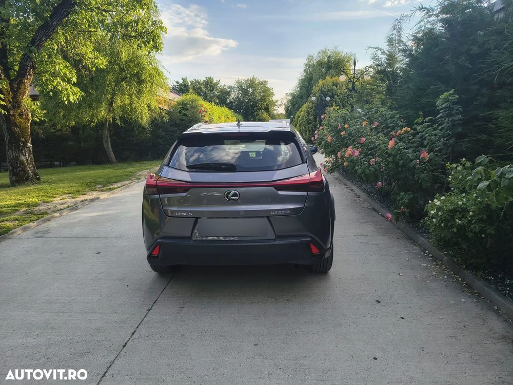 Lexus UX 250h Business Edition - 22