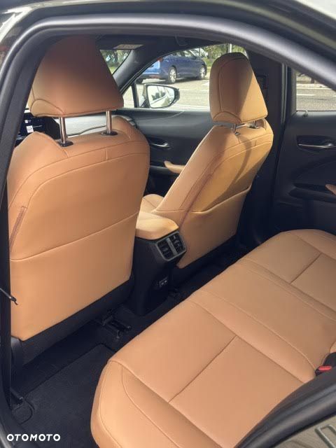 Lexus UX 250h F Sport 2WD - 10