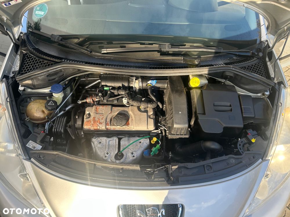 Peugeot 207 75 Millesim 200 - 30