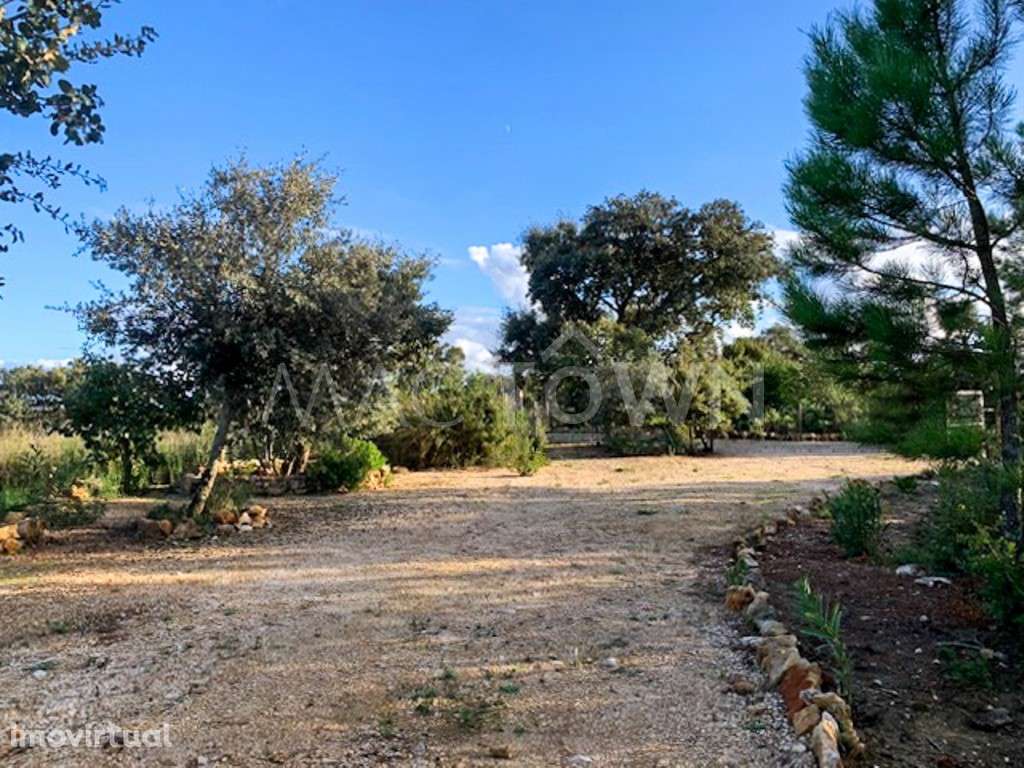 Refúgio Natural - Terreno - Grande imagem: 2/25