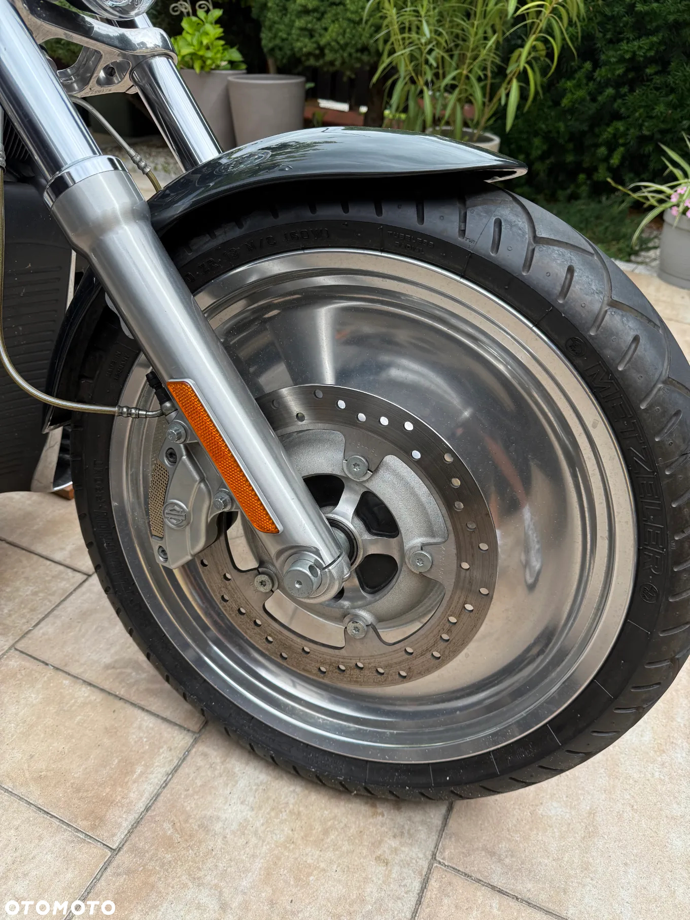 Harley-Davidson Softail V-Rod - 6