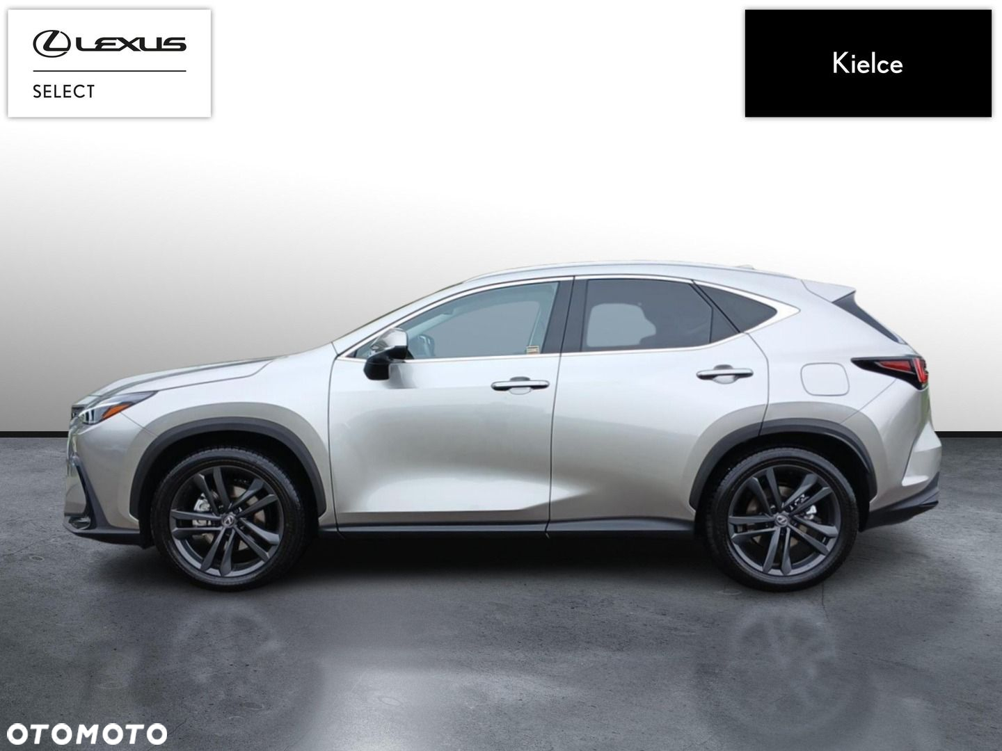 Lexus NX 350h Prestige AWD - 2