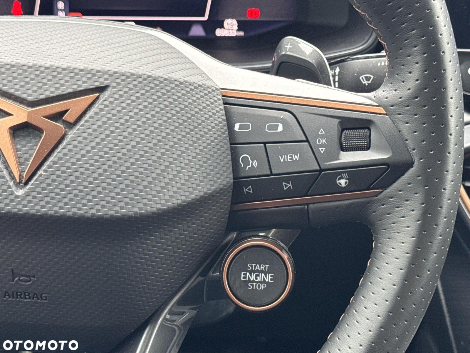 Cupra Formentor 2.0 TSI 4Drive VZ DSG - 33
