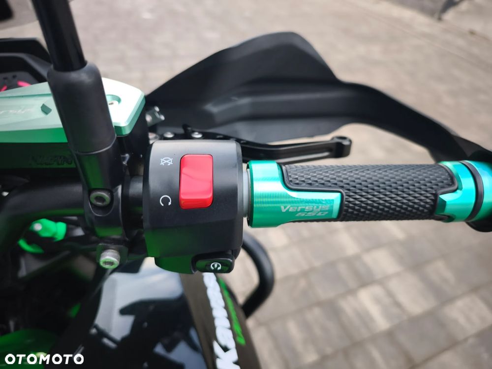 Kawasaki Versys 650 - 20
