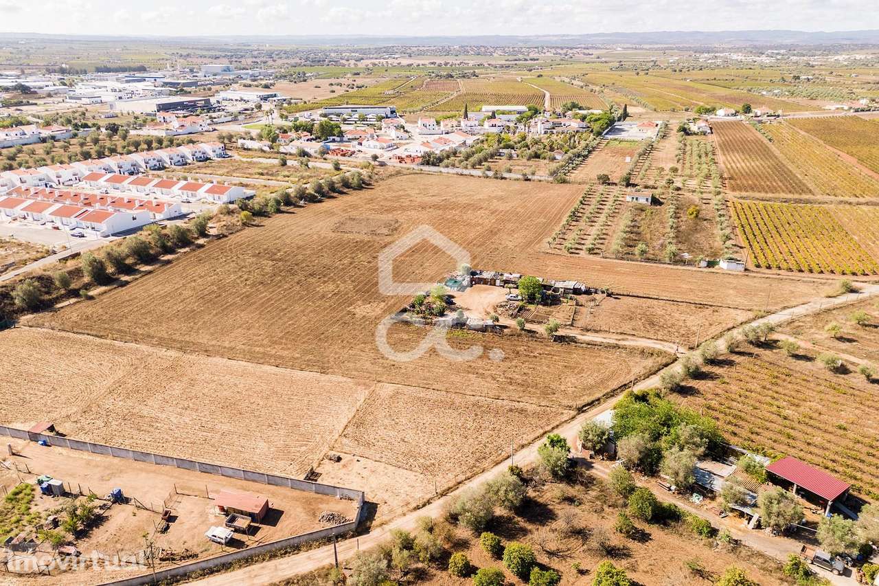 Terreno de 24000 m2 para construção | Reguengos de Monsaraz - Grande imagem: 3/21