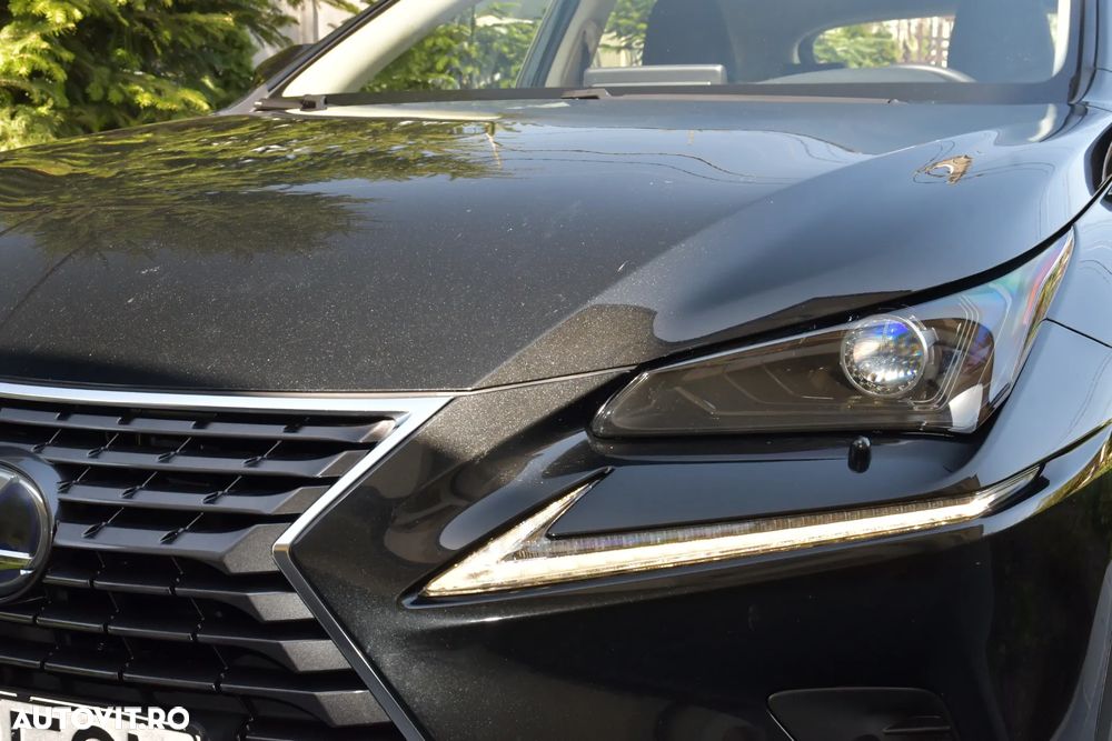 Lexus Seria NX 300h E-FOUR Business Edition - 23