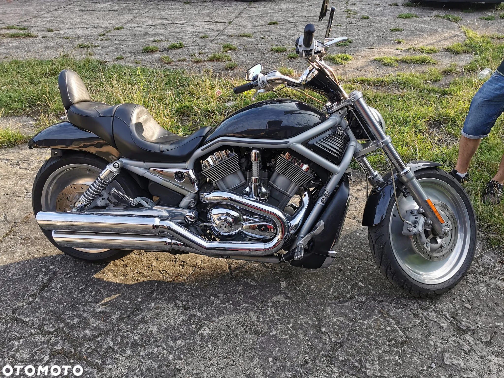 Harley-Davidson V-Rod Street Rod - 3