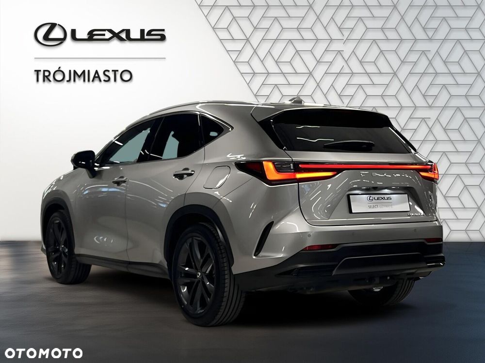 Lexus NX - 6