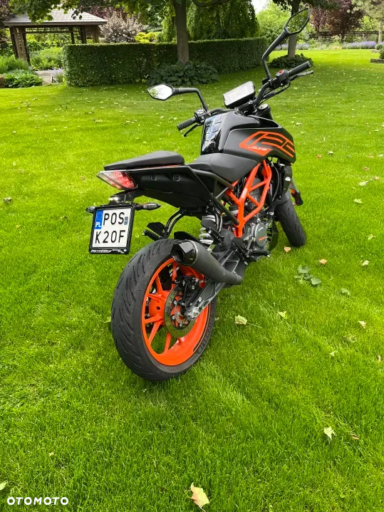 KTM Duke - 6