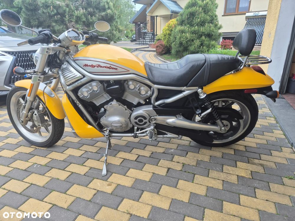 Harley-Davidson V-Rod Street Rod - 5
