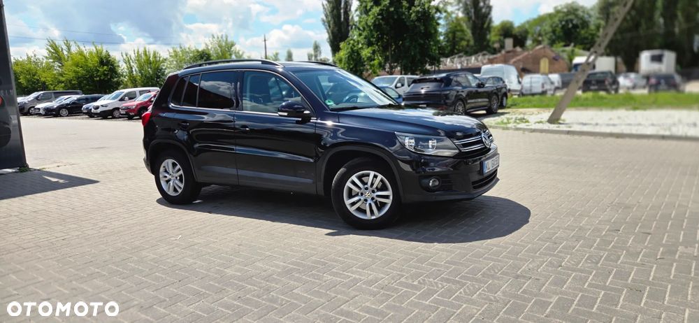 Volkswagen Tiguan - 19