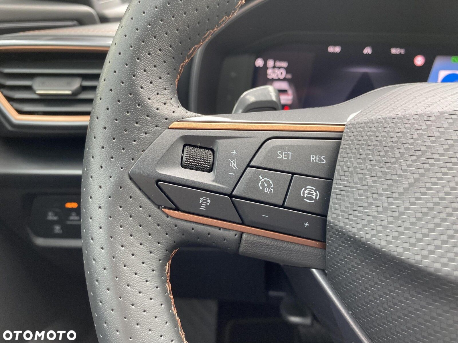 Cupra Formentor 1.5 TSI DSG - 23