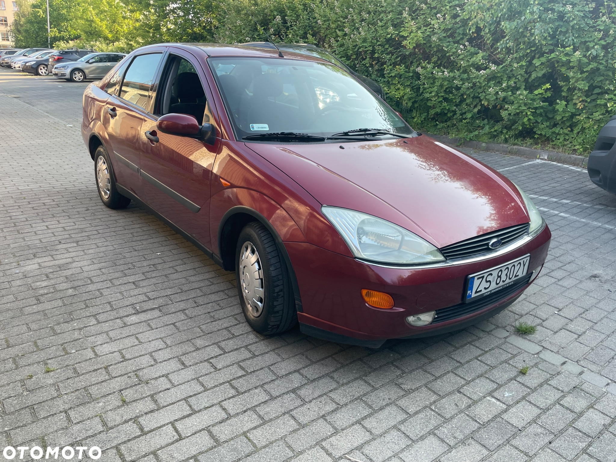 Ford Focus 1.6 Ghia - 3