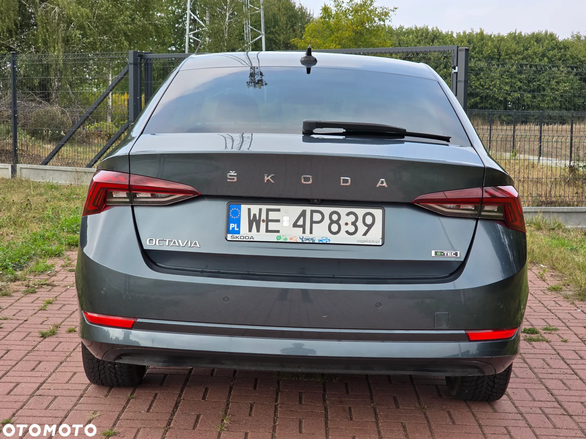 Skoda Octavia 1.5 TSI GPF ACT Ambition DSG - 9