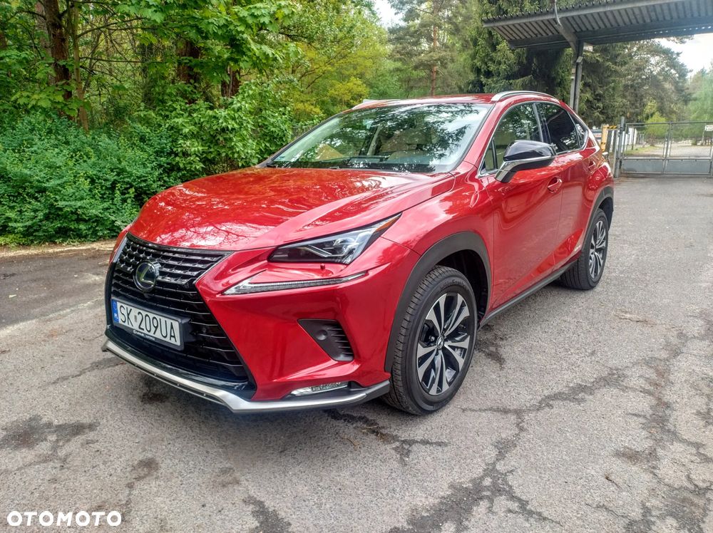 Lexus NX 300h F Impression AWD - 15