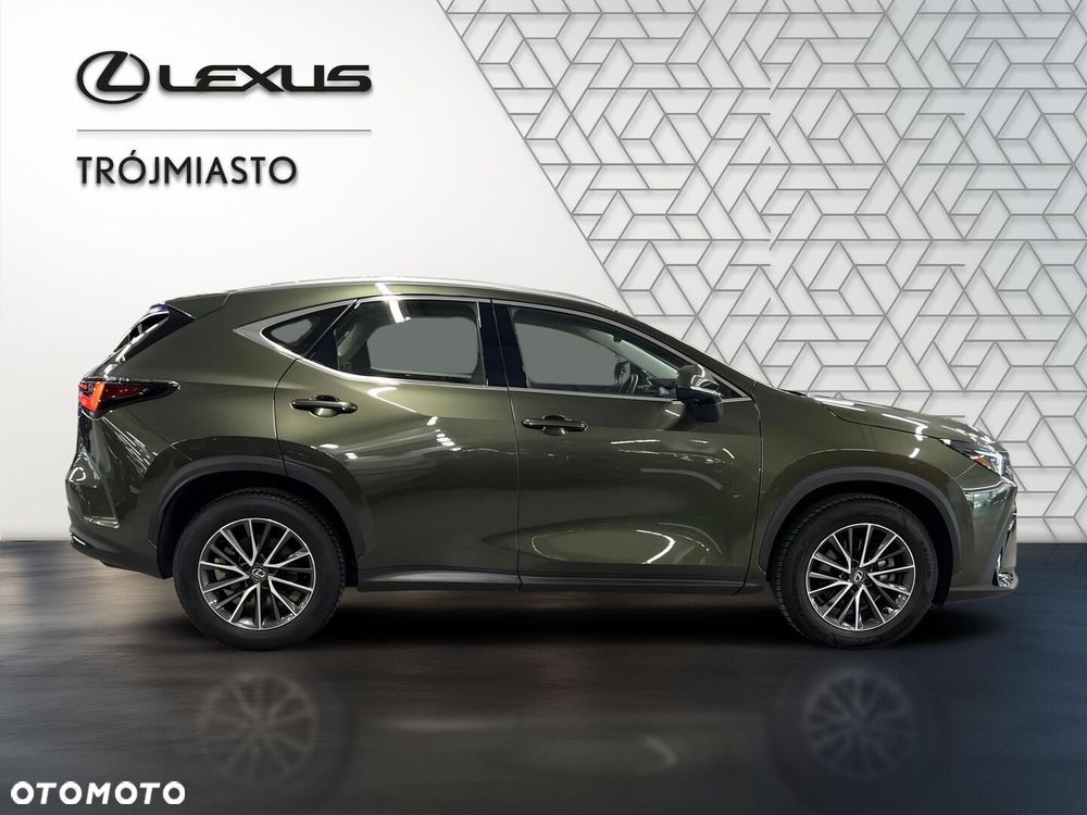 Lexus NX 350h Business AWD - 7