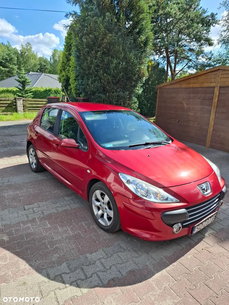 Peugeot 307 1.6 HDI Oxygo - 9