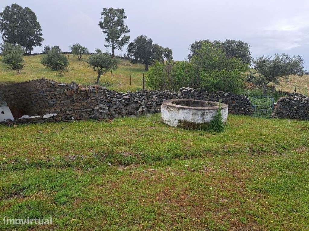 Terreno rustico em Santana de Cambas a 7kms de Mértola no Baixo Ale... - Grande imagem: 3/8