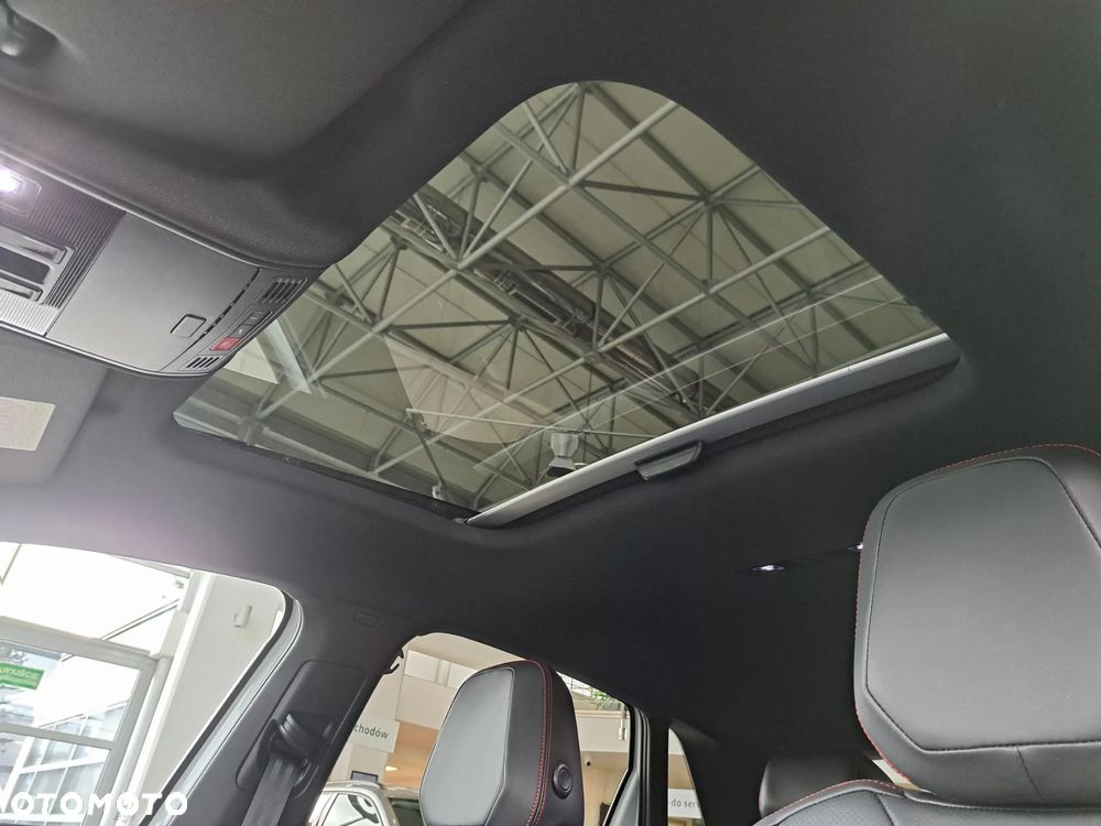 Volkswagen Polo 2.0 TSI GTI DSG - 13