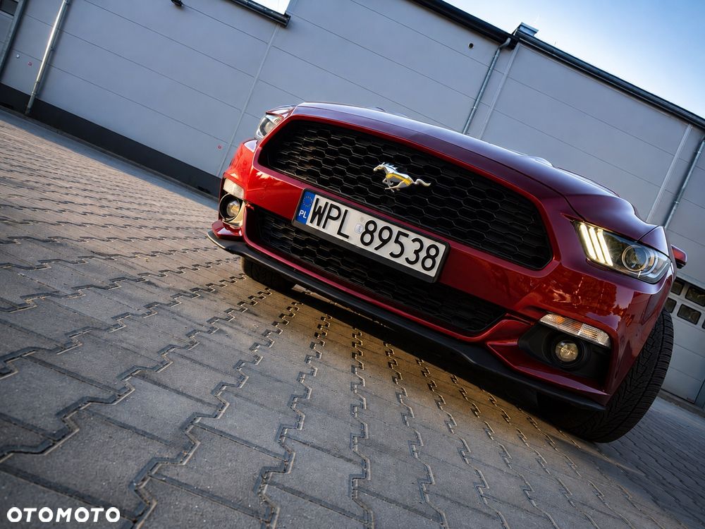 Ford Mustang - 10