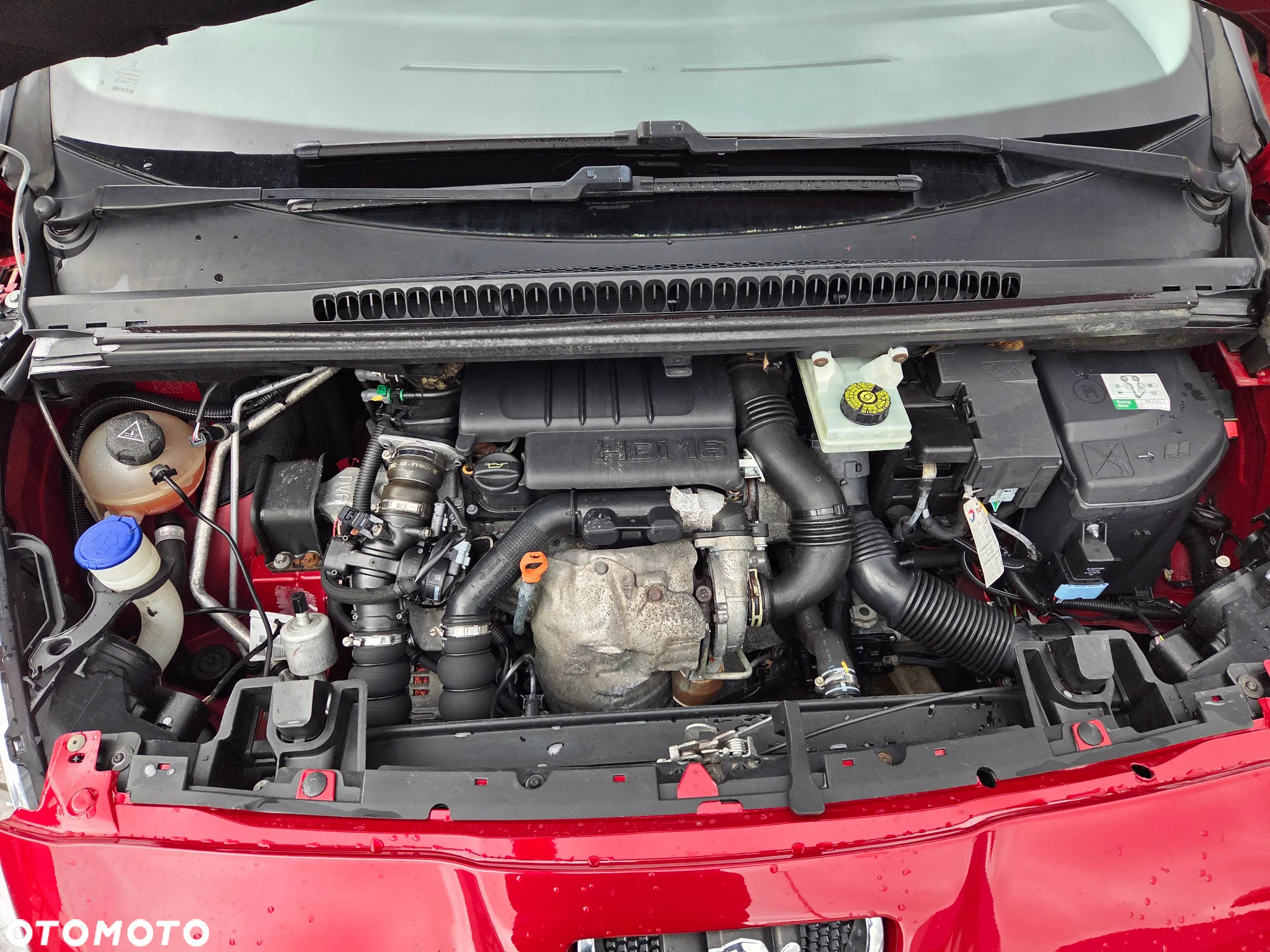 Peugeot 5008 - 24