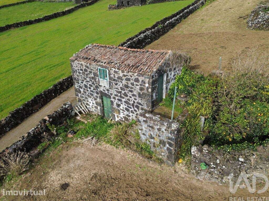 Terreno Agrícola em Lajes do Pico - Grande imagem: 4/21