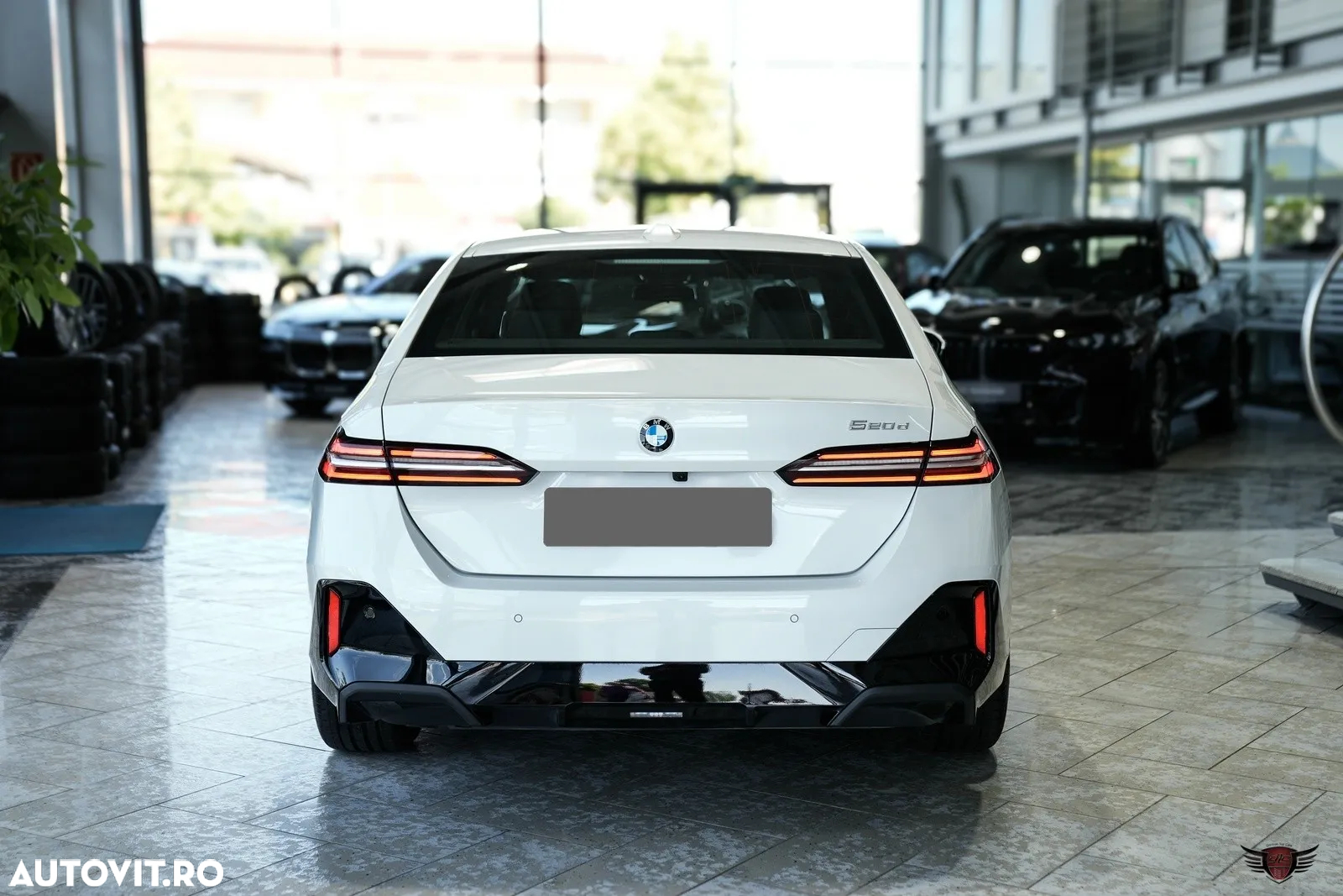 BMW Seria 5 520d AT MHEV - 10