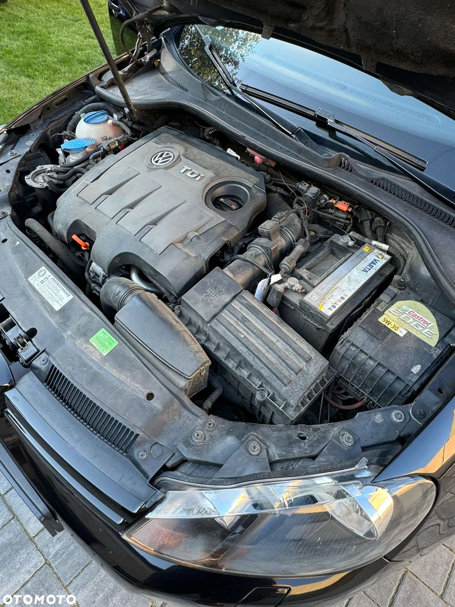Volkswagen Golf - 19