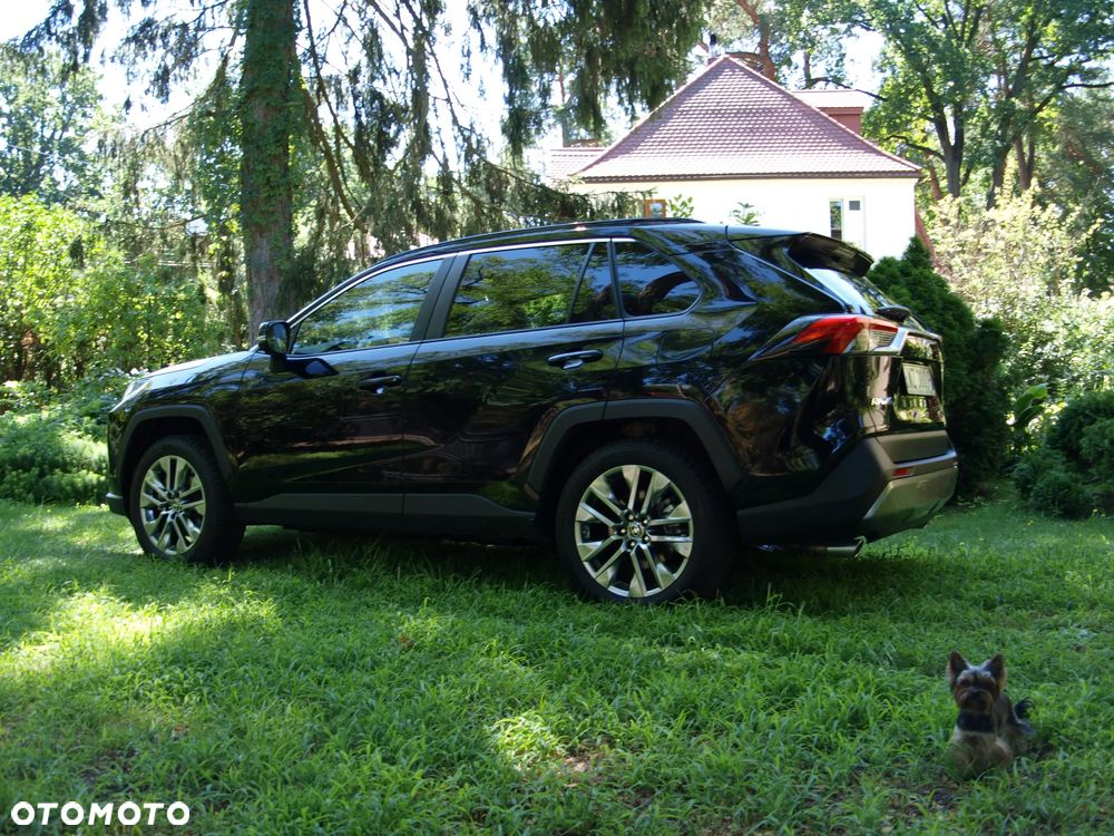 Toyota RAV4 2.5 Hybrid Selection 4x2 - 6