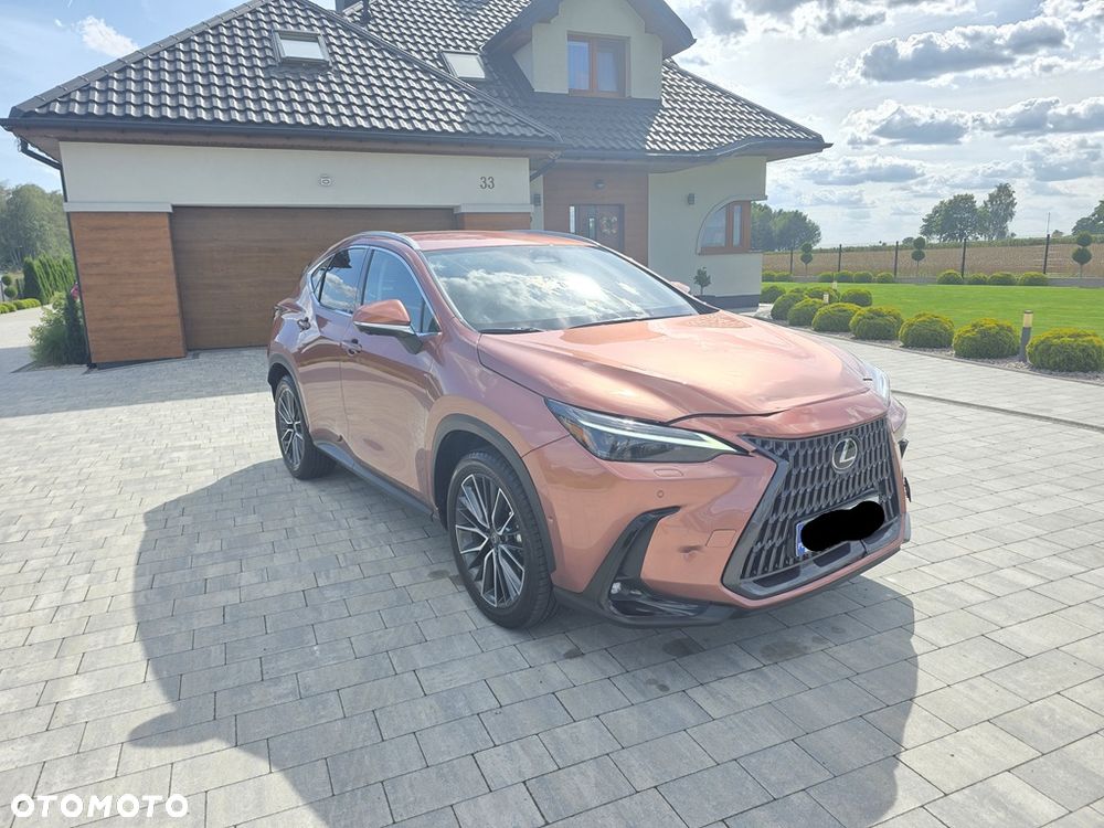 Lexus NX 350h Omotenashi AWD - 2