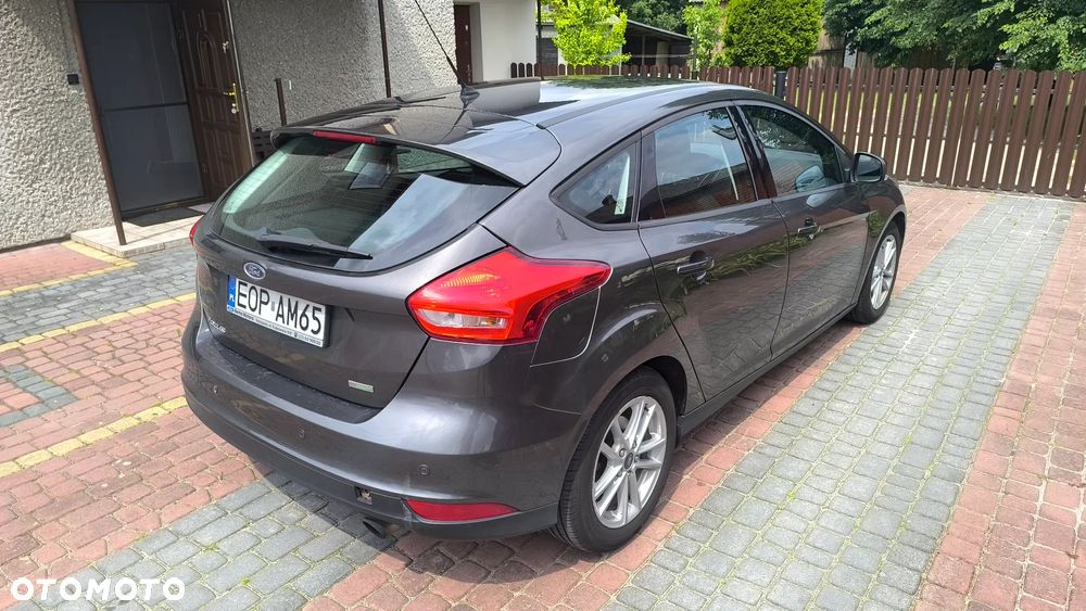 Ford Focus - 5