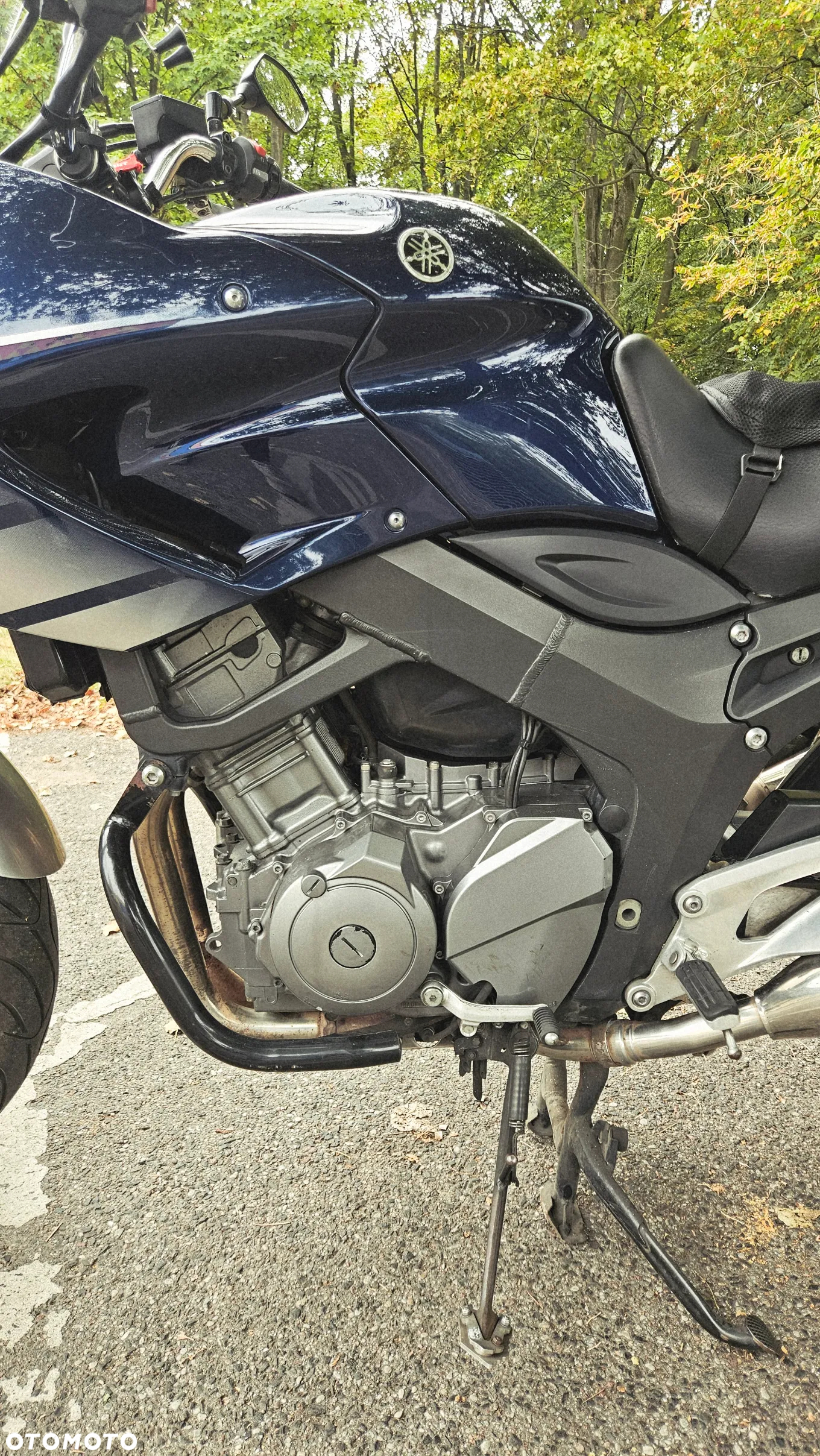 Yamaha TDM - 6