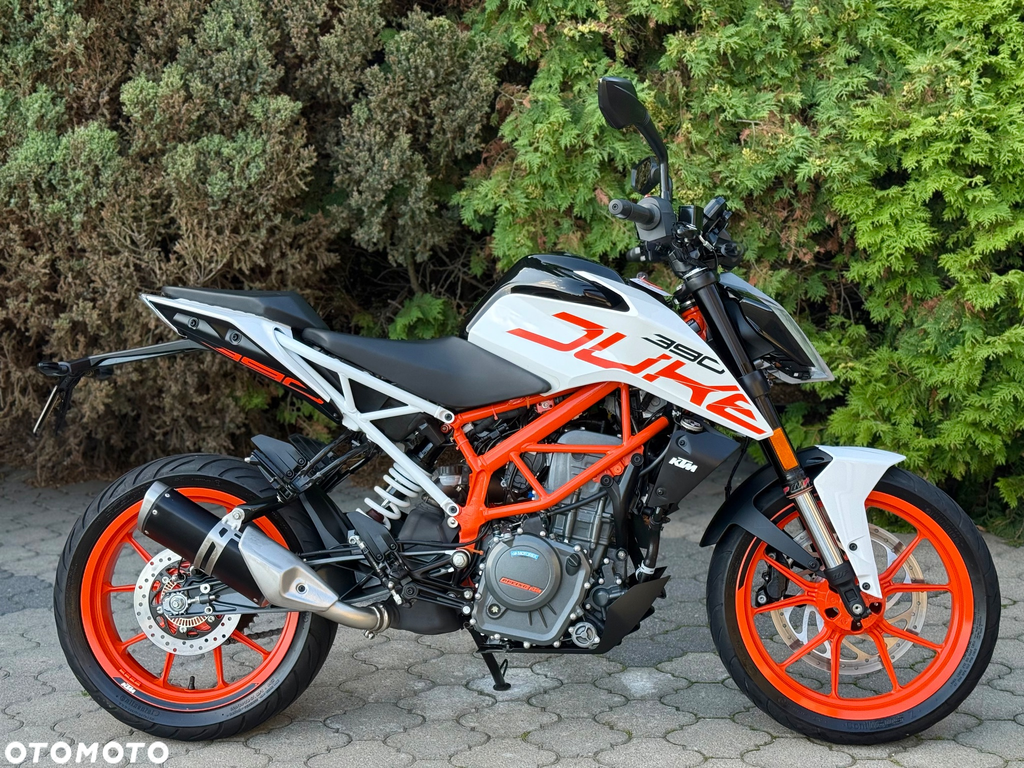 KTM Duke - 2