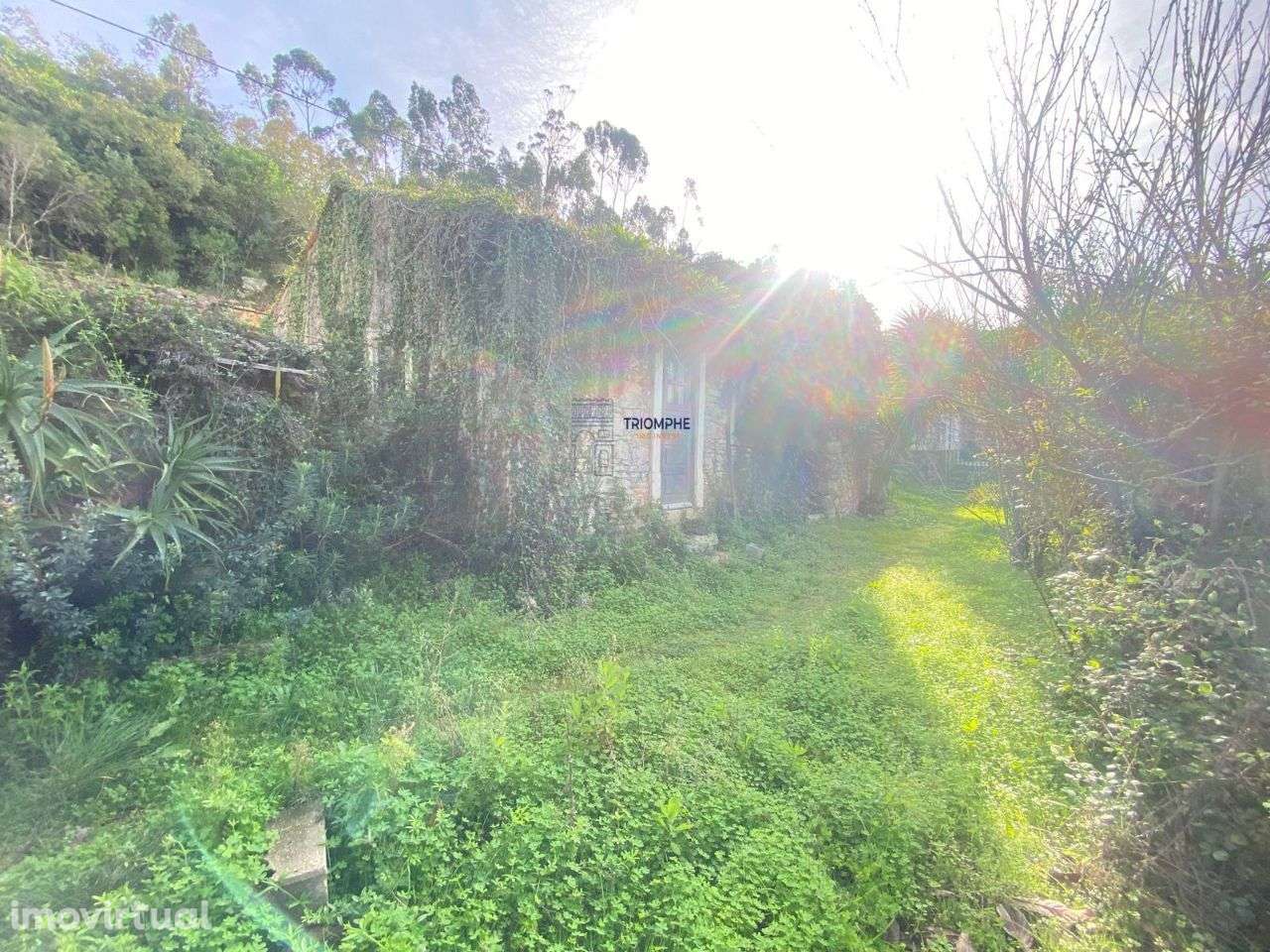 Casa Rústica Srº do Monte Leiria - Grande imagem: 4/21