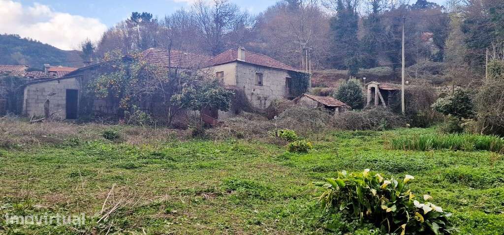 Quinta da Mó - Cantelães - Grande imagem: 2/9