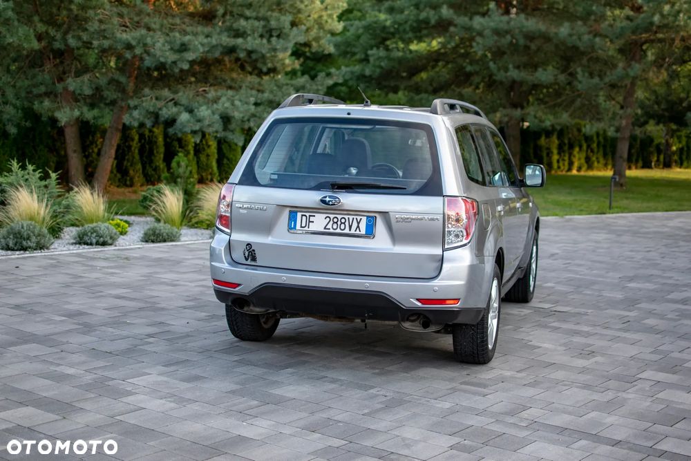 Subaru Forester - 19