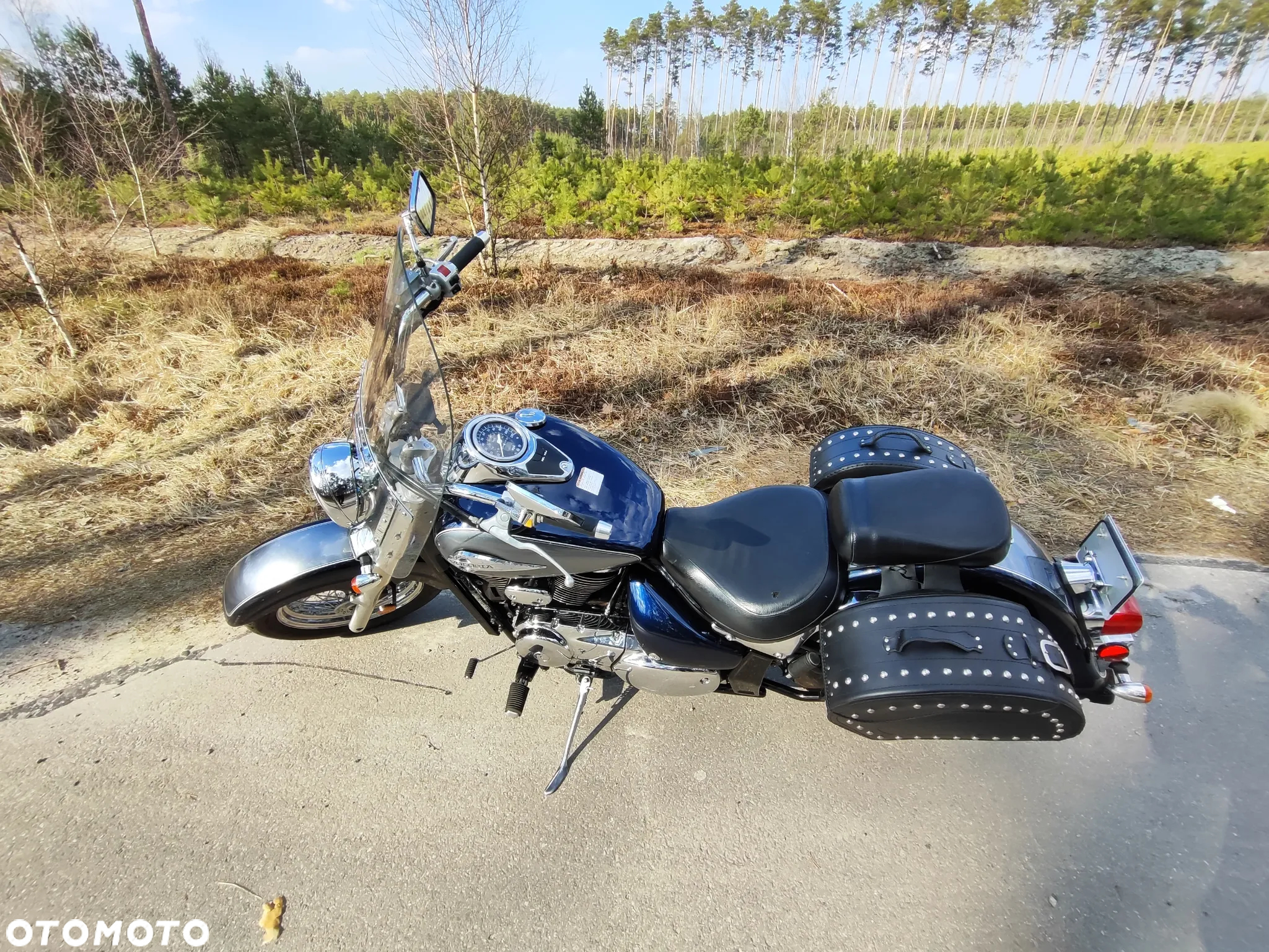 Suzuki VL 800 Volusia - 13