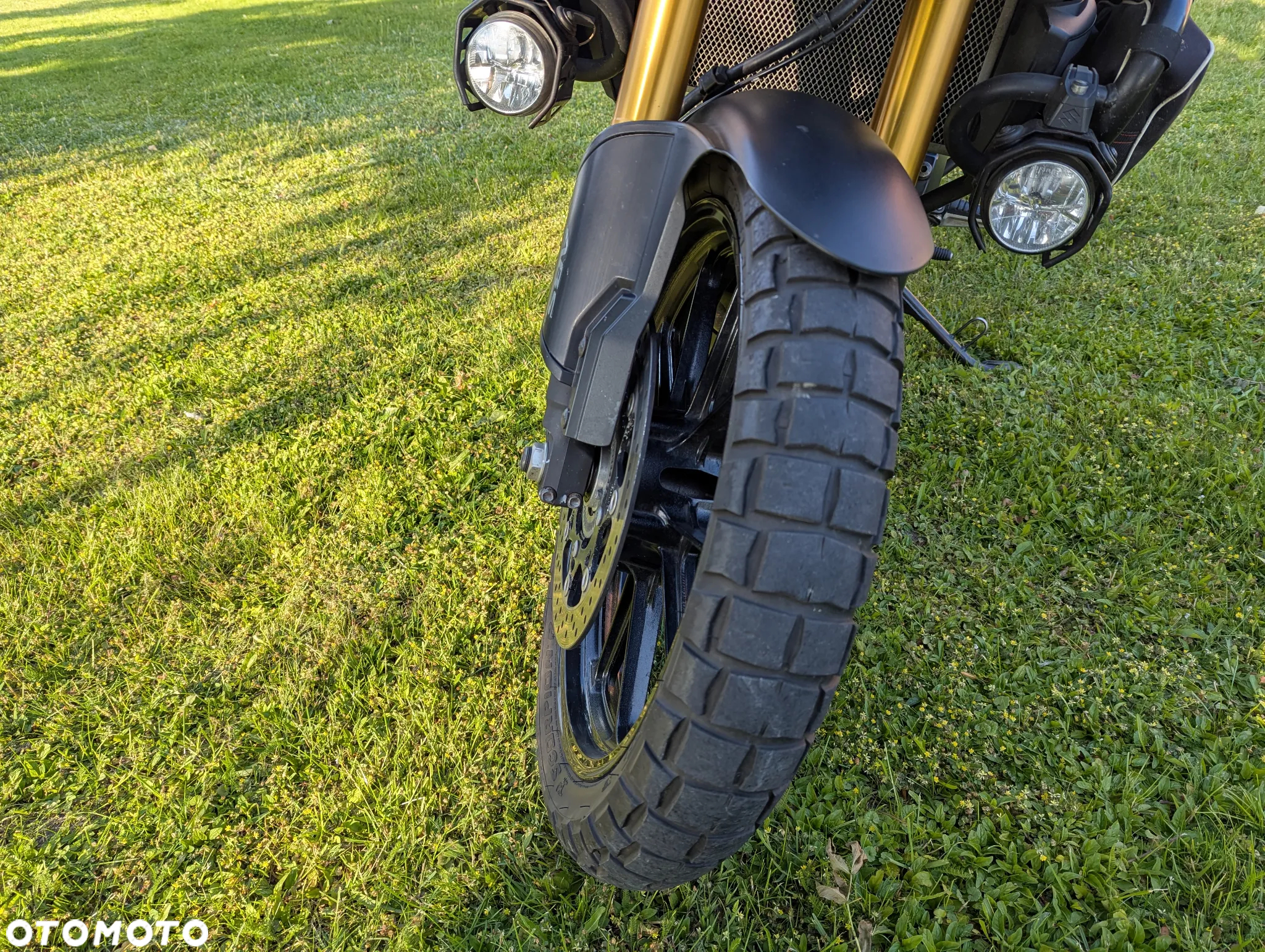 Suzuki DL - 7