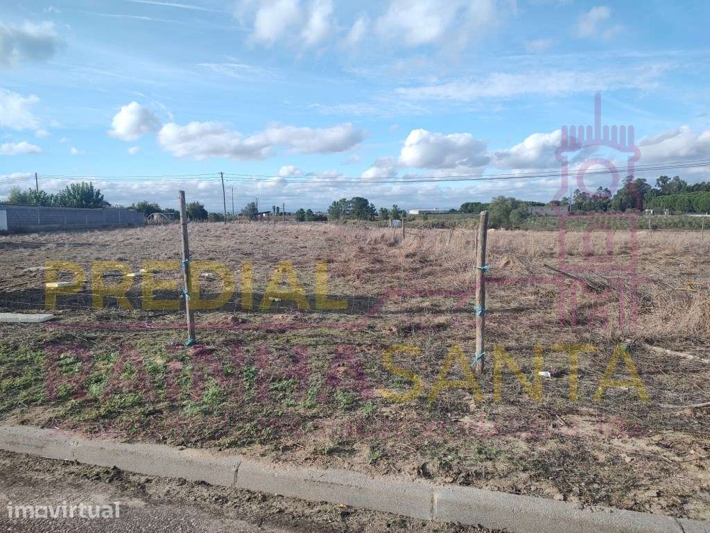 Terreno rustico-Alpiarça - Grande imagem: 3/7