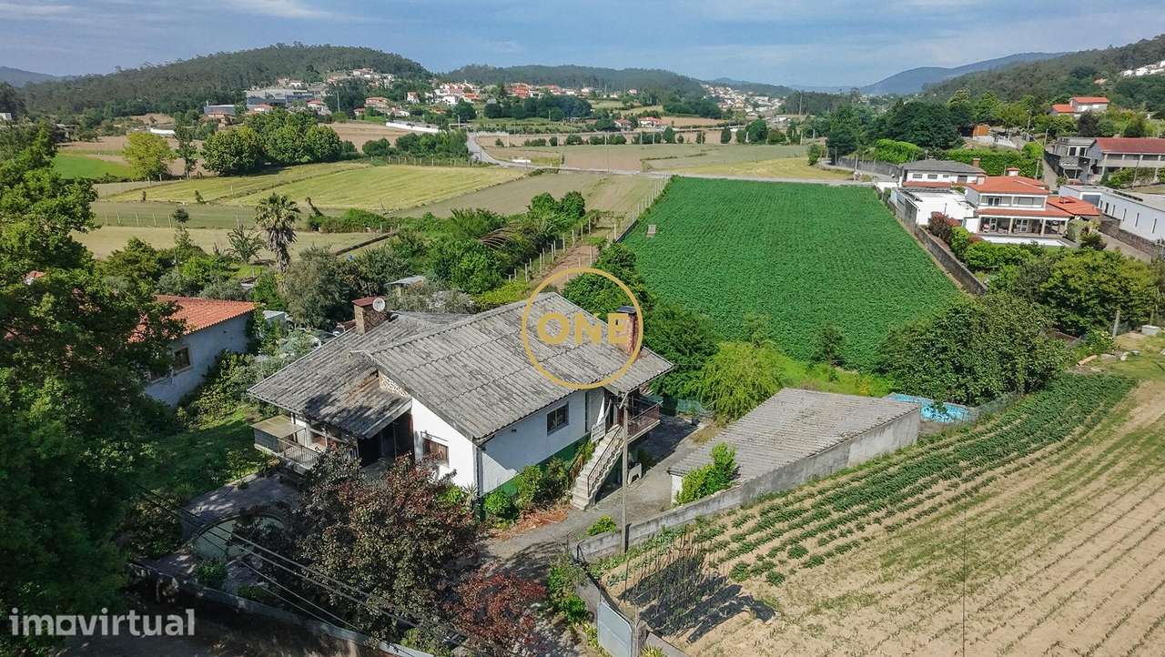 Quinta de Charme com Moradia T3 e Terreno de 9.000 m2 – Um Refúgio Úni - Grande imagem: 3/24