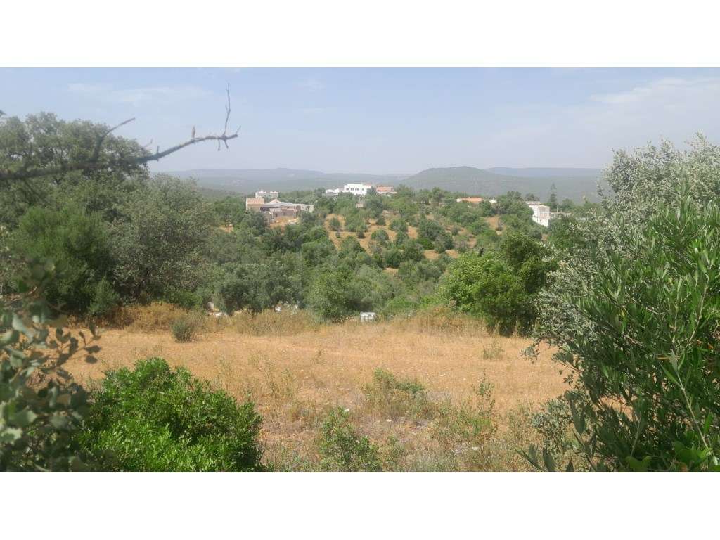 Lote de terreno rústico com bons acessos e área de 1 800m2 - Grande imagem: 5/15