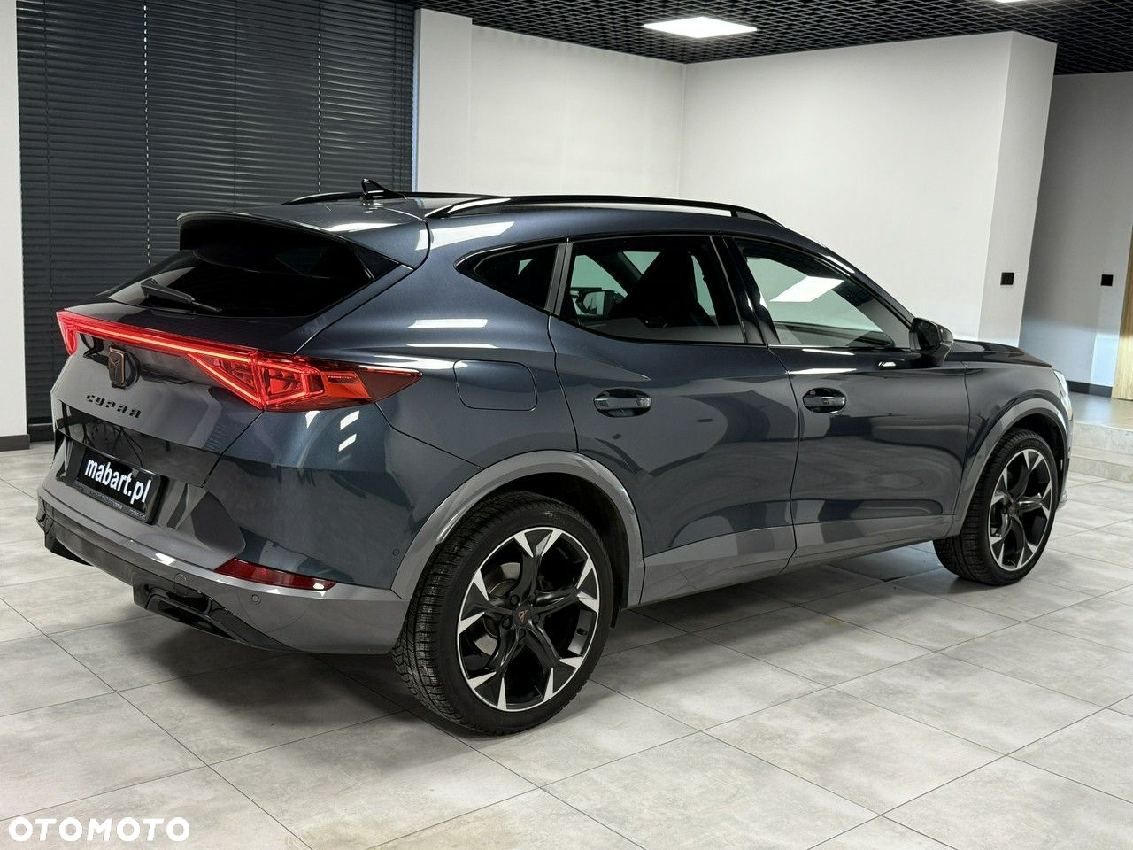 Cupra Formentor 2.0 TSI 4Drive DSG - 7