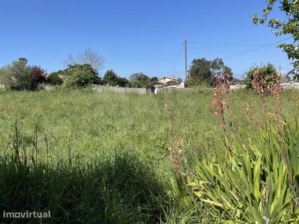 Terreno em São Félix da Matinha - Grande imagem: 4/13