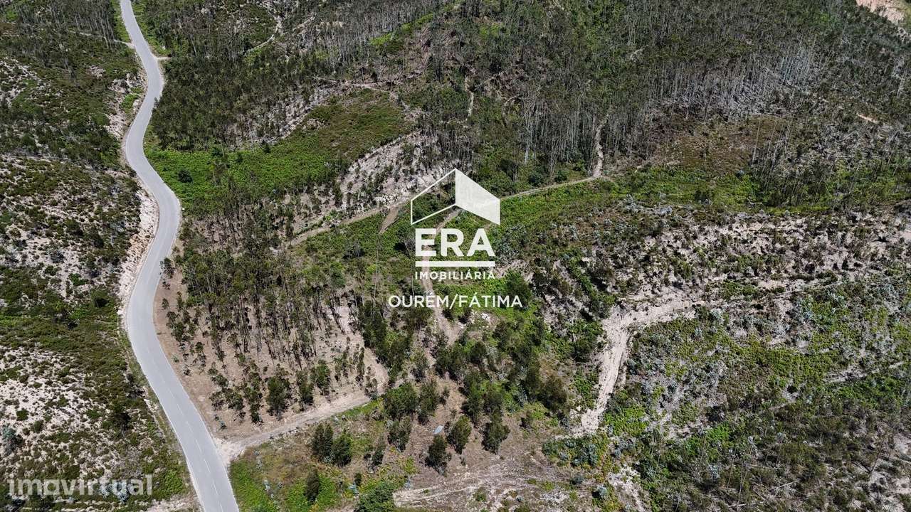 Terreno Florestal em Matas, Ourém - Grande imagem: 4/18