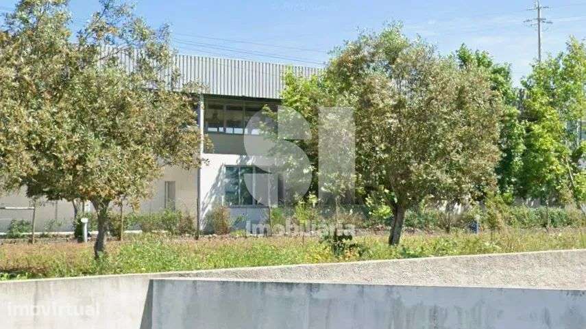 GRANDE ARMAZÉM - Grande imagem: 4/5